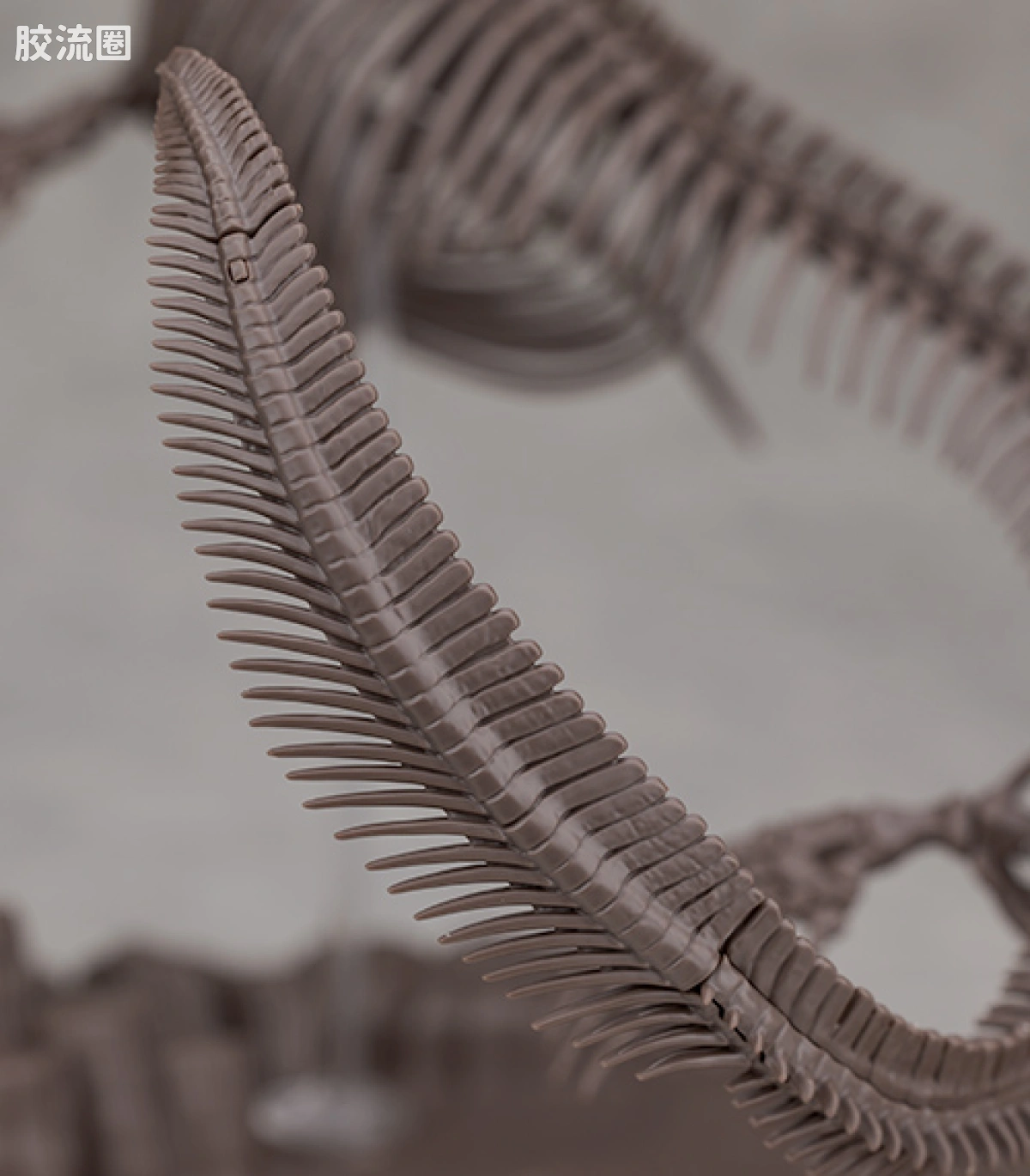 万代综合拼装模型系列 Imaginary Skeleton系列 沧龙 - 图片